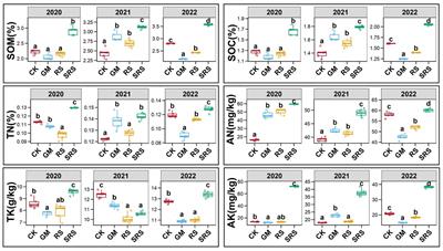 Effects of the rice-mushroom rotation pattern on soil properties and microbial community succession in paddy fields